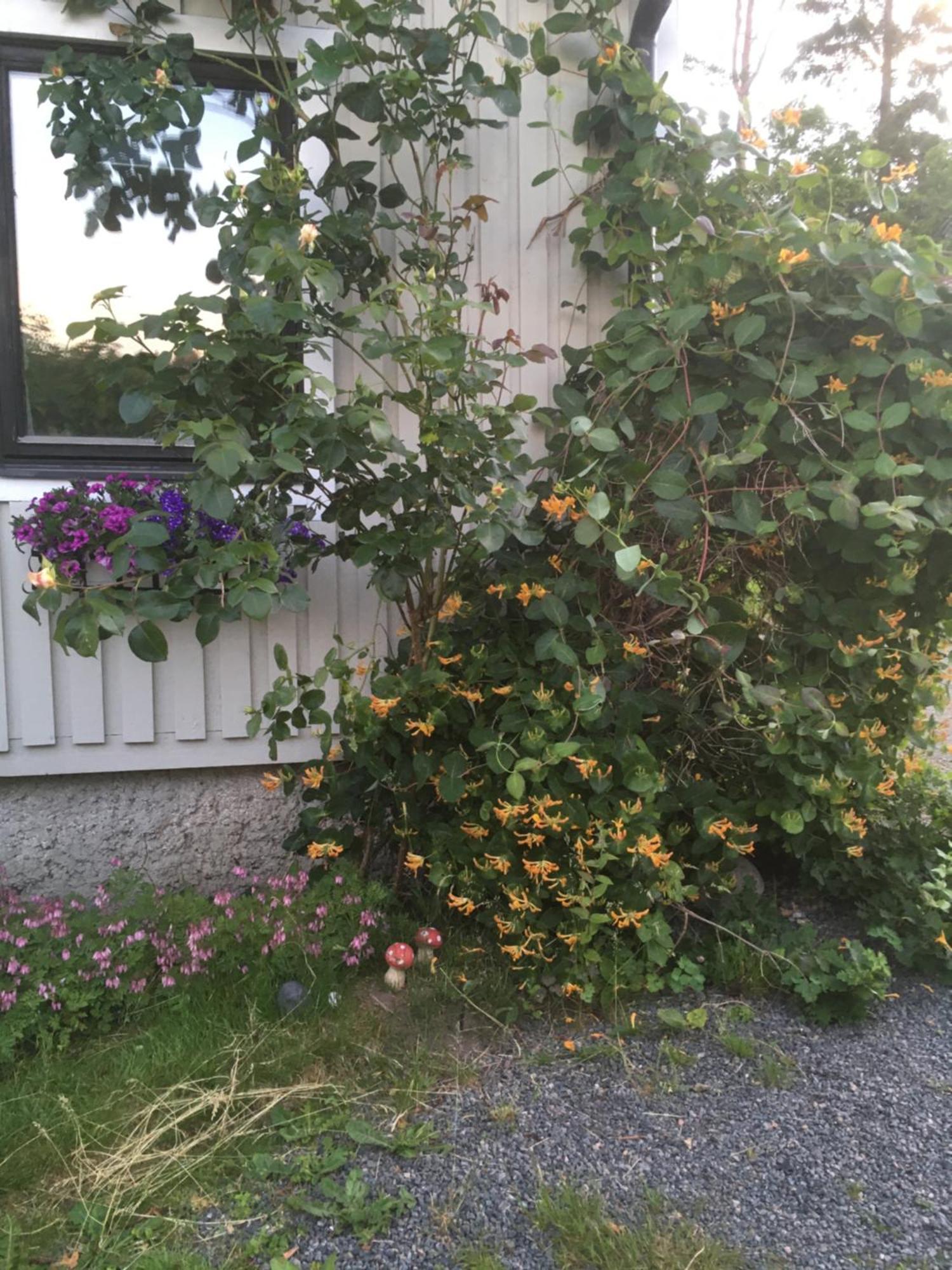 Airbnbekasberg Olofstorp Eksteriør bilde
